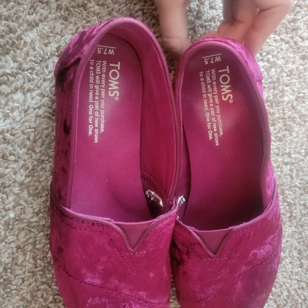 Toms - Picture 6 of 7